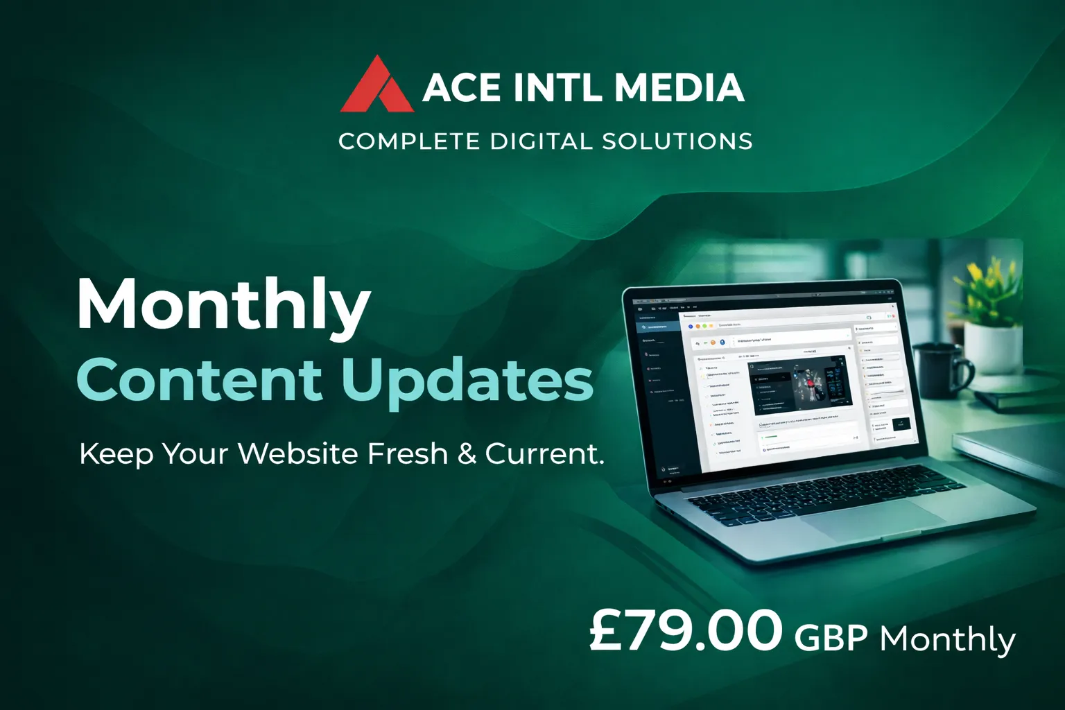 Ace Intl Media Hosting Portal – Manage invoices and payments online